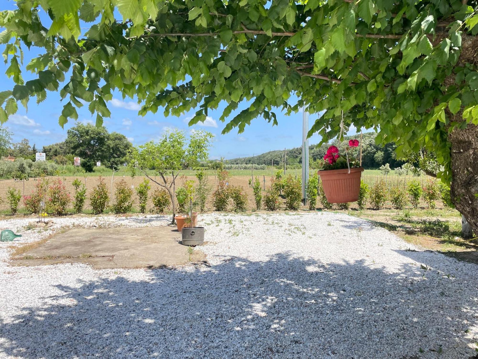 Il Leccio Agriturismo Fiorino Екстериор снимка
