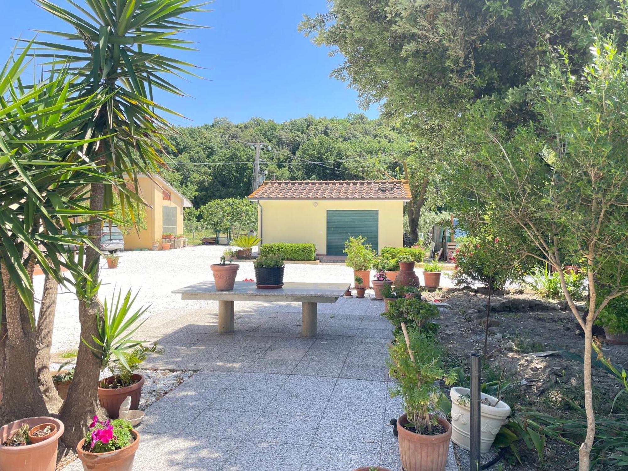 Il Leccio Agriturismo Fiorino Екстериор снимка