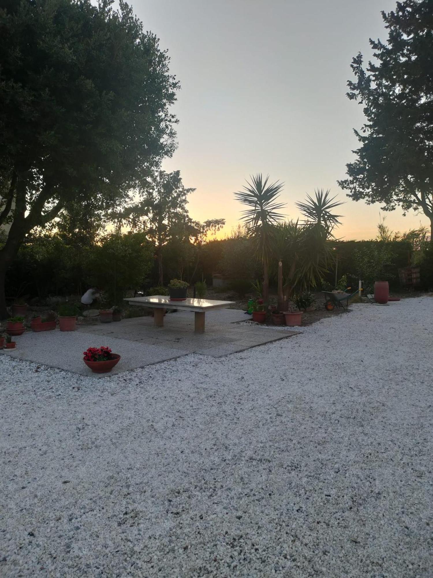Il Leccio Agriturismo Fiorino Екстериор снимка