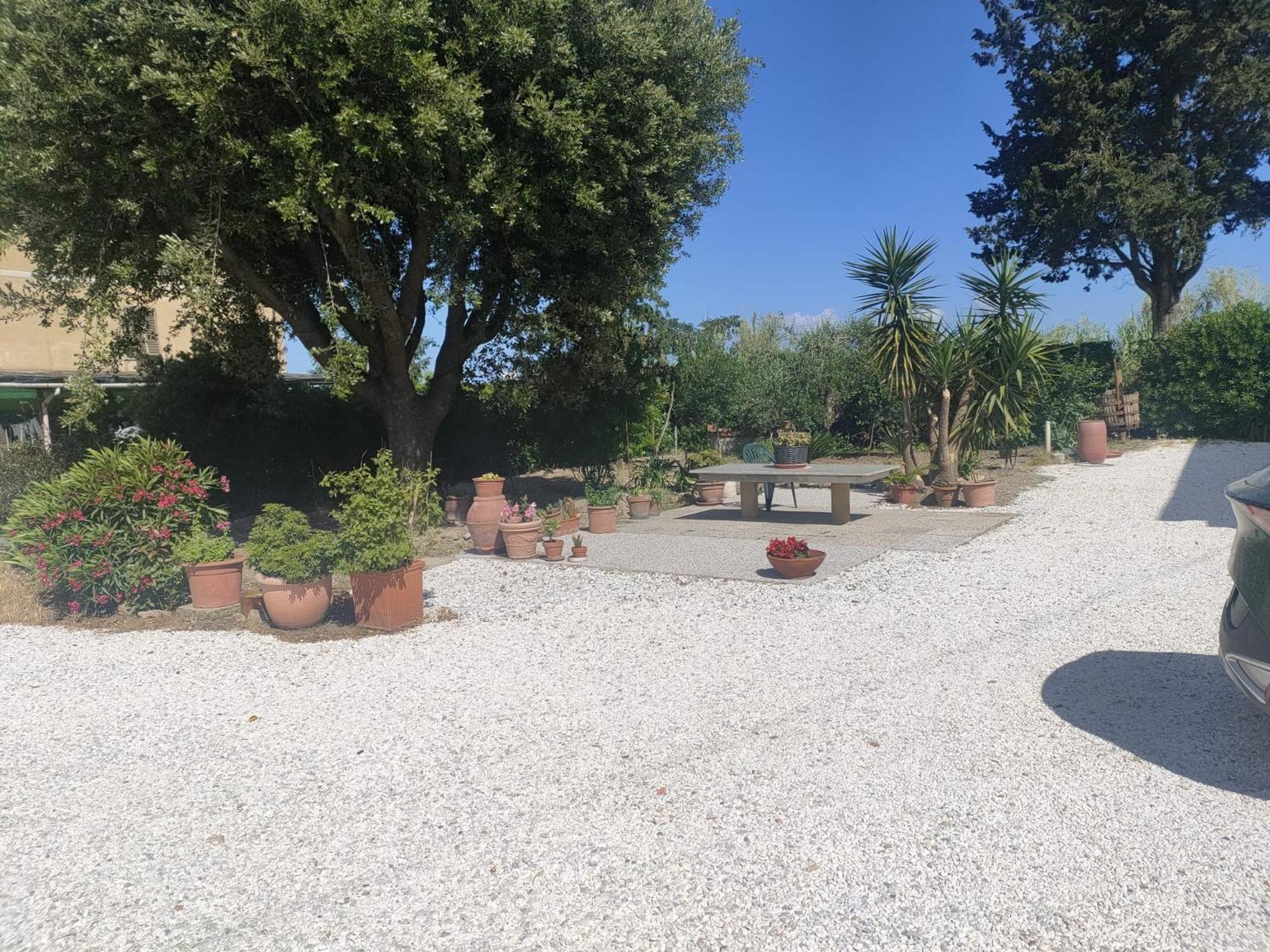 Il Leccio Agriturismo Fiorino Екстериор снимка