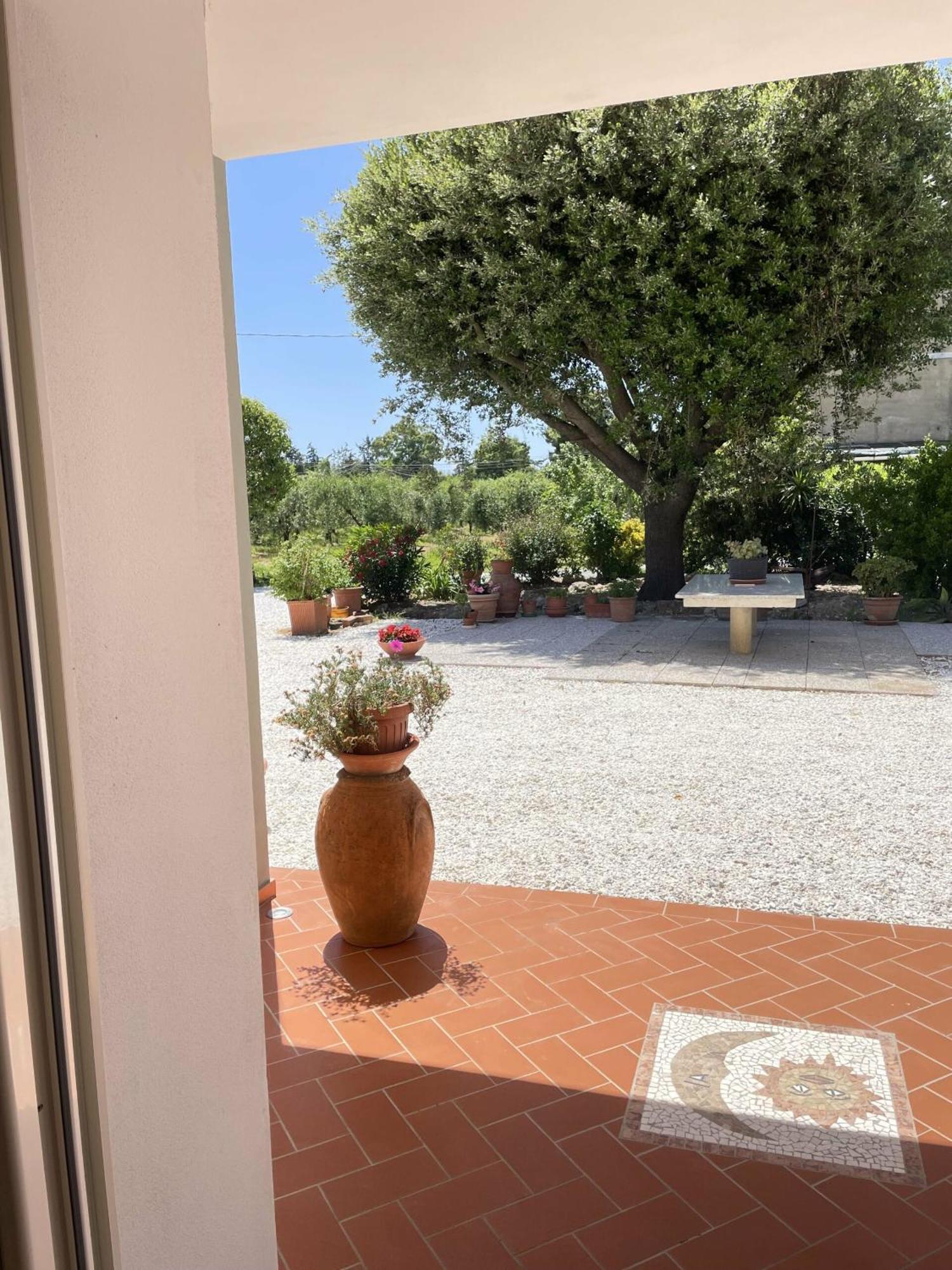 Il Leccio Agriturismo Fiorino Екстериор снимка